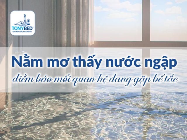 Mơ Thấy Nước Ngập Điềm Gở Hay Lành? 99+ Giấc Mộng Liên Quan