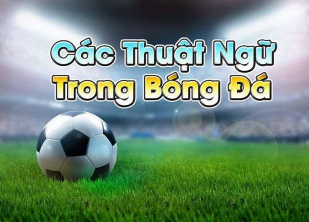 Các Thuật Ngữ Cá Cược Tại C54 Phổ Biến Người Chơi Nên Biết