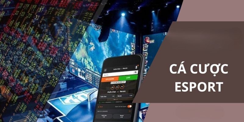 Esport C54 – Trải Nghiệm Cá Cược Đỉnh Cao Tại C54