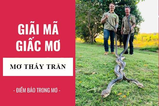 Chiêm bao thấy trăn nên chọn con số may mắn nào?